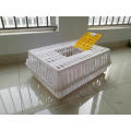 Wholesale Price plastic chicken transport coops cage poultry live chicken Broiler transport cages